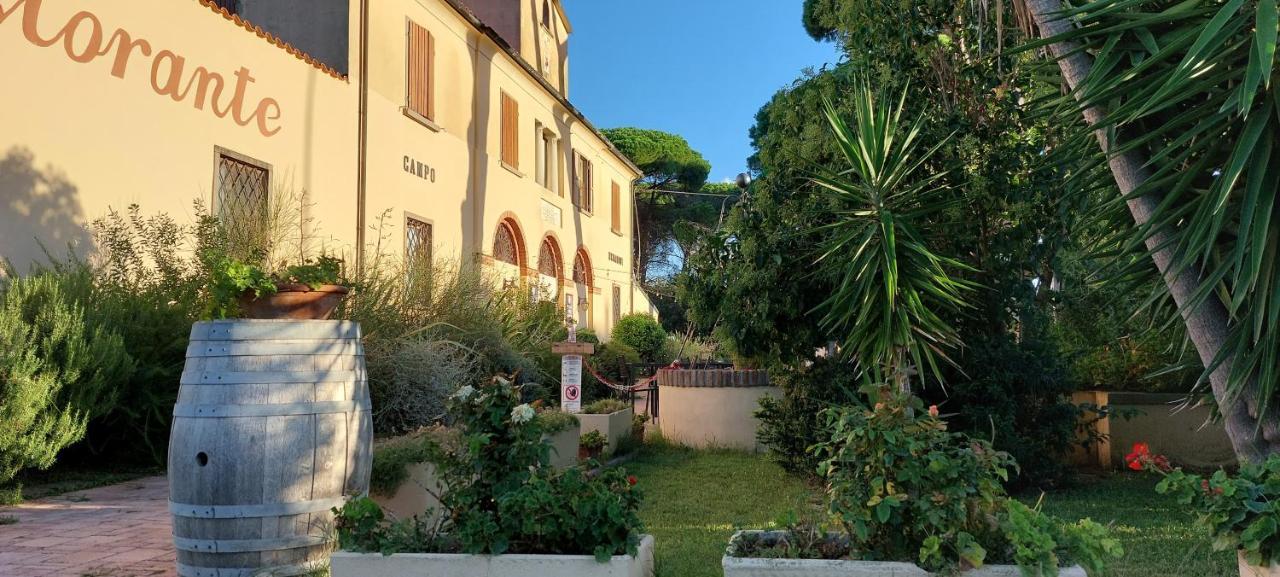 Locanda Menabuoi Donoratico Exterior photo